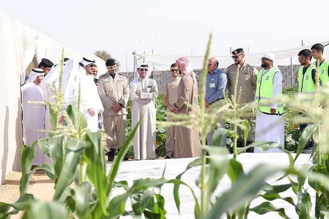 Sharjah Warehouse Permit Policy improving warehouse licensing and logistics infrastructure in the UAE